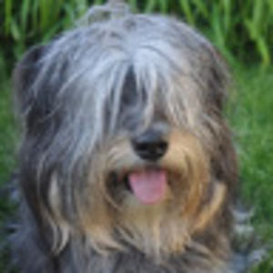 Meet your Posher, Heidi